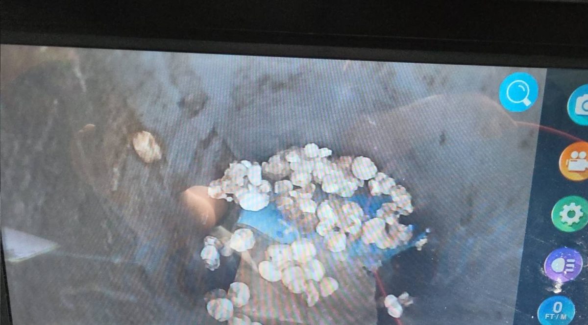 陽台排水管內施工殘留物
