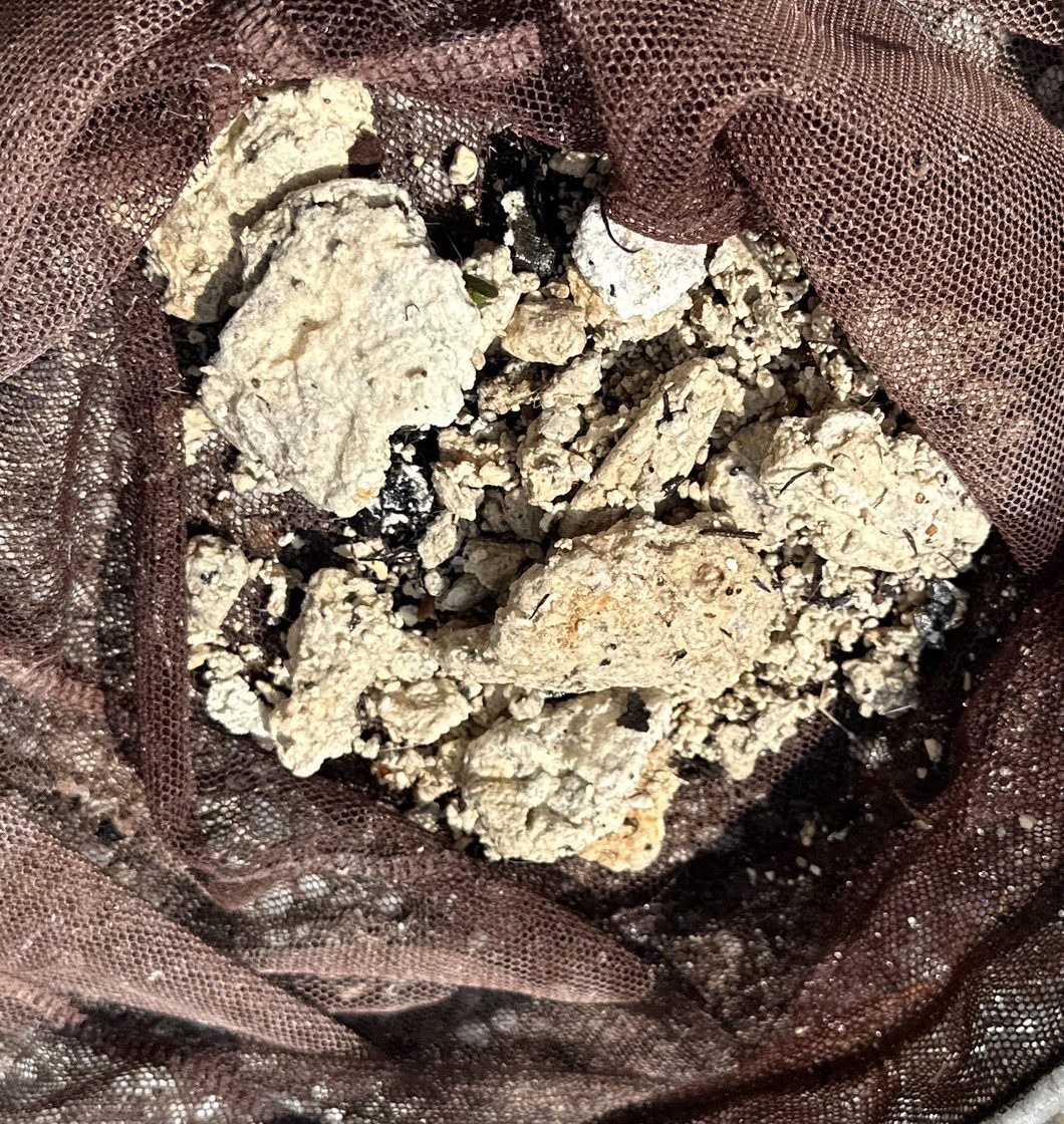 清出的水泥砂漿塊