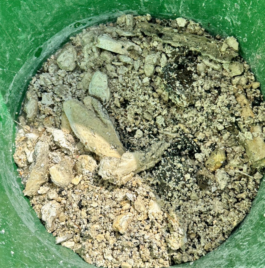 清出的砂石積料